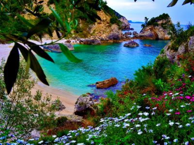 فروش کارخانه مواد غذایی در قزوین با تمامی امکانات و تجهیزات تمام اتوماتیک0