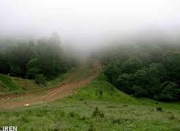 فروش زمین کشاورزی در منطقه جنگل ابر شاهرود4