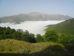 فروش زمین کشاورزی در منطقه جنگل ابر شاهرود1