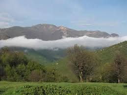 فروش زمین کشاورزی در منطقه جنگل ابر شاهرود7