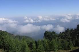 فروش زمین کشاورزی در منطقه جنگل ابر شاهرود2