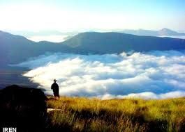 فروش زمین کشاورزی در منطقه جنگل ابر شاهرود0