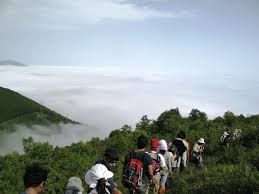 فروش زمین کشاورزی در منطقه جنگل ابر شاهرود6