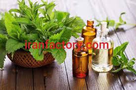 فروش نایسین (نایزین)1