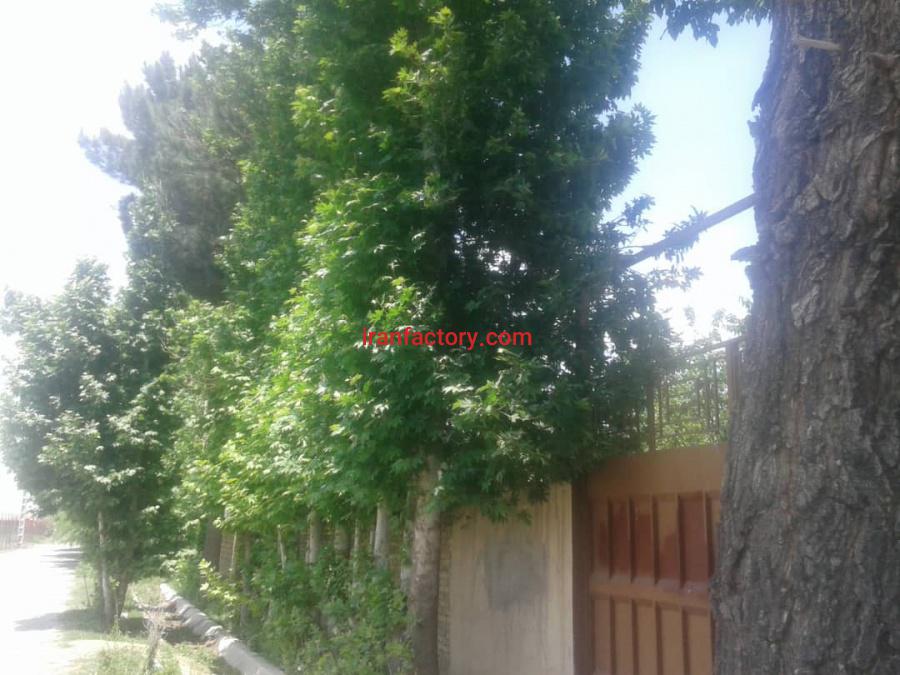 فروش باغ ویلا فلاورجان اصفهان0