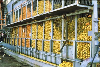 فروش یااجاره کارخانه آبمیوه درشهرک صنعتی اشتهارد کرج تهران3