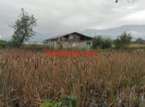 فروش 2000 متر  زمین و دامداری و استخر در املش3