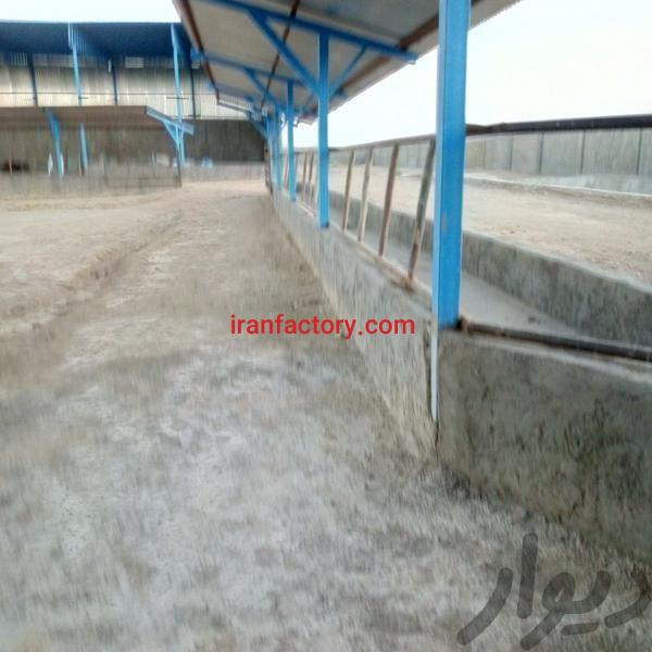 فروش گاوداری در اصفهان0