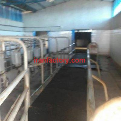 فروش 40 هزار متر گاوداری در قزوین0