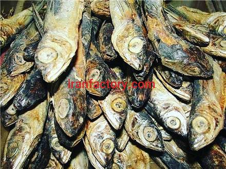 خرید و فروش پودر ماهی و میگو و ماهی خشک در بندر عباس5