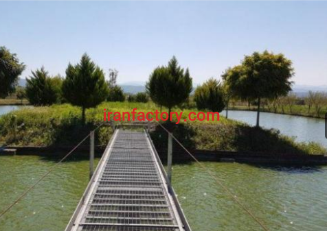 فروش 7500 متر مزرعه پرورش ماهی با باغ  در قایم شهر7