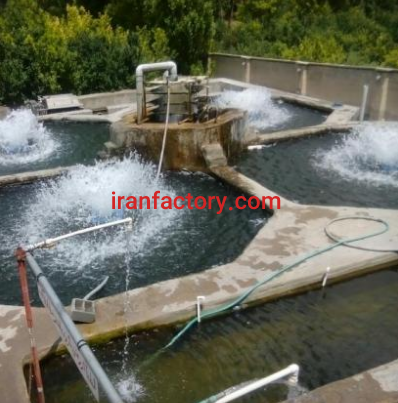 فروش پرورش ماهی در تبریز3
