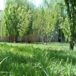 فروش کارخانه قارچ در شهرک صنعتی فرامان کرمانشاه0