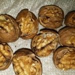 فروش دستگاه گردو شکن و بادام شکن0