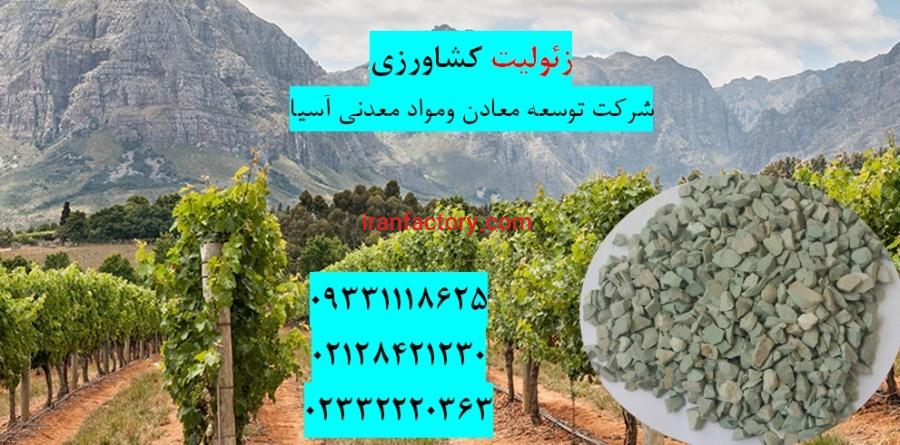 فروش زئولیت در زمین کشاورزی1