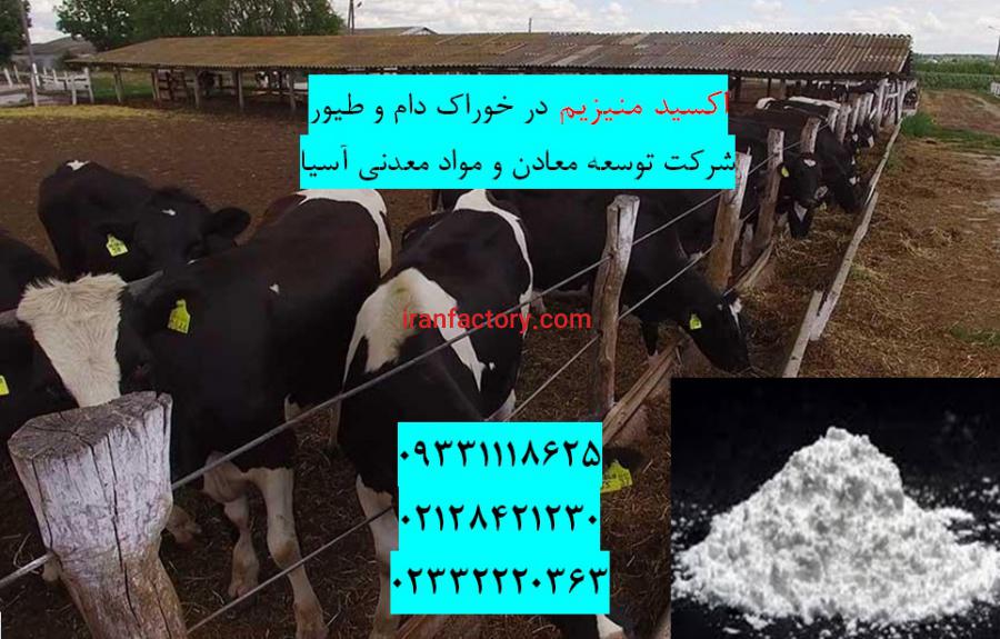 فروش بنتونیت ویژه تهیه خوراک دام و طیور2