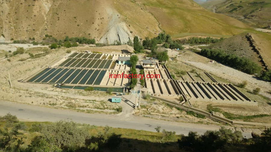 فروش پرورش ماهی قزل آلا در الیگودرز0