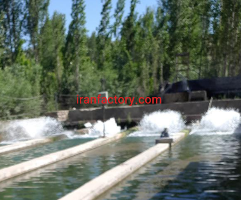 فروش 3000 متر پرورش ماهی در شیروان0