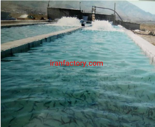 فروش 1500 متر پرورش ماهی در زنجان1
