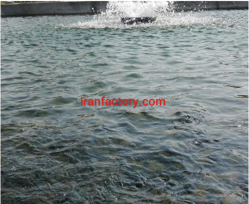 فروش 3000 متر پرورش ماهی در مشگین شهر اردبیل1