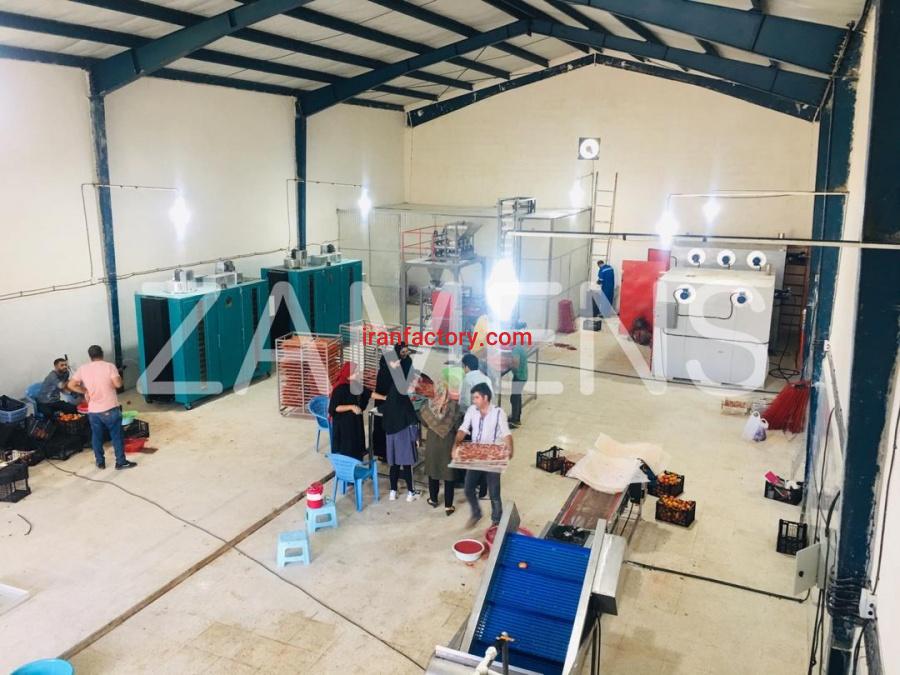 کارشناس خرید دستگاه استاندارد میوه خشک کن0