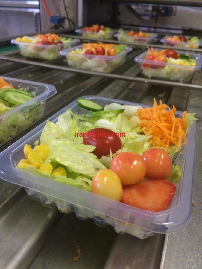فروش خط تولید سالاد در اصفهان6