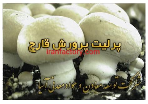 پرلیت و پیت ماس ویژه پرورش قارچ2