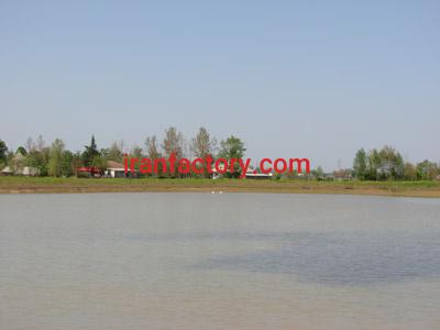 استخر پرورش ماهی در فومن0