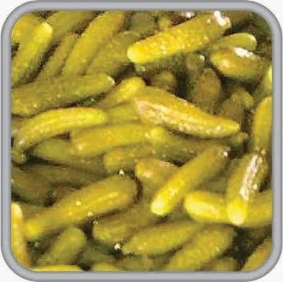 حلب 17 کیلویی و قوطی تن ماهی7