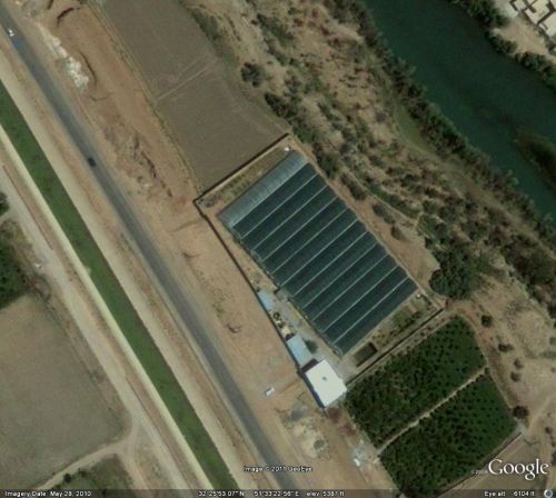 گلخانه هیدروپونیک رز هلندی اصفهان شهر پیربکران0