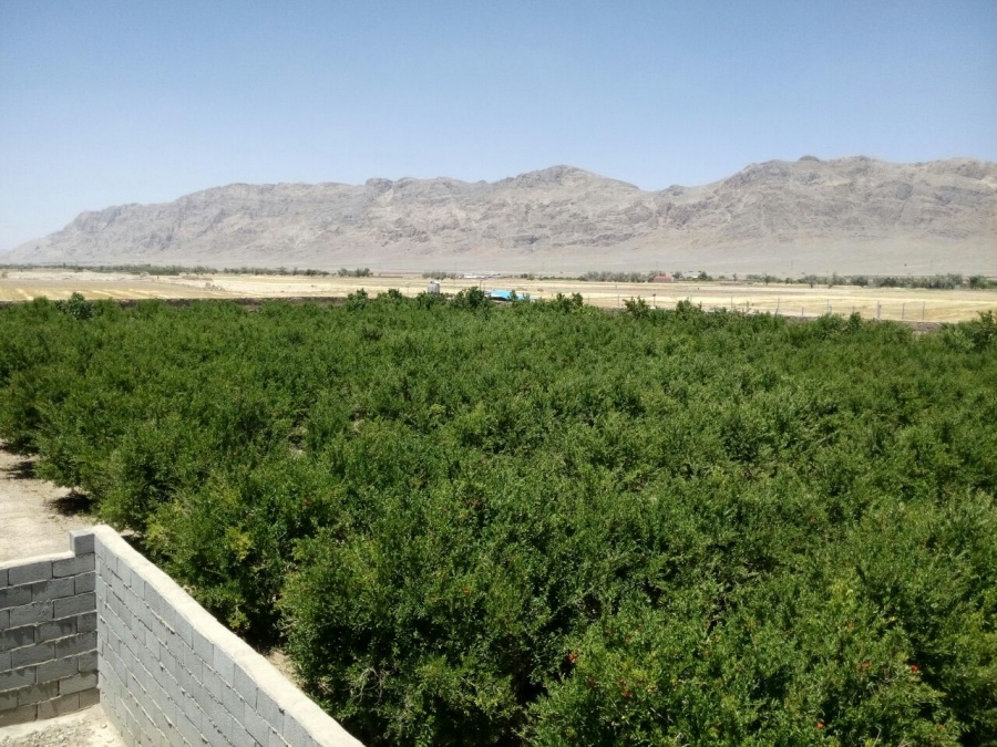 فروش مرغداری و باغ در شهرضا اصفهان2