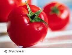 فروش کارخانه رب گوجه فرنگی در کرج_خرید کارخانه رب گوجه فرنگی0