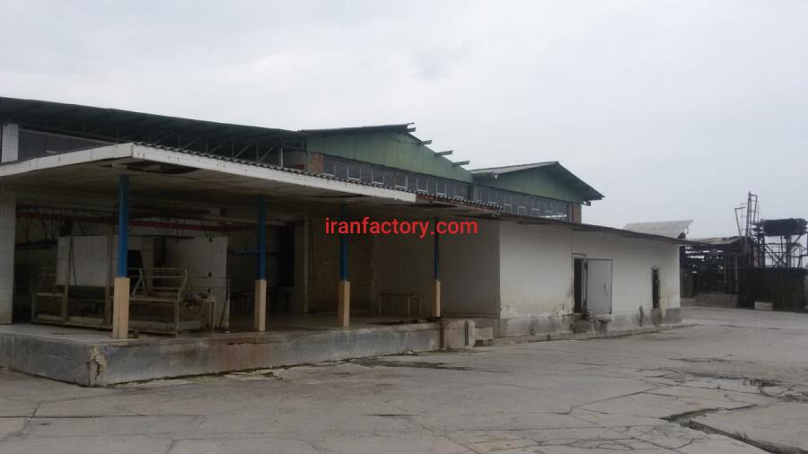 فروش کشتارگاه مرغ در گلستان0