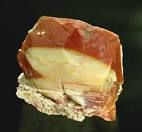 فروش  فلورين مشهد (خراسان رضوي )1