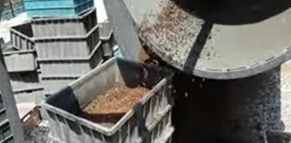 فروش خط فرآوری کرم خاکی2