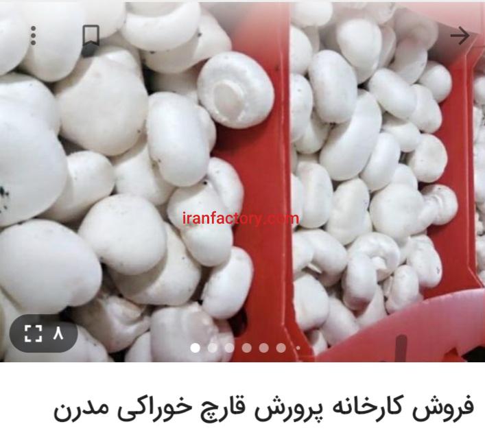 فروش کارخانه تولید قارج تهران0