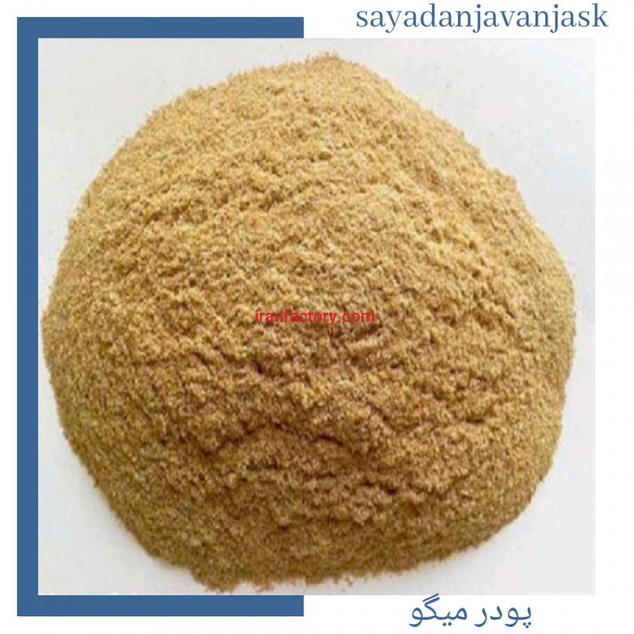 فروش پودر ماهی ،پودر میگو ،ماهی خشک2