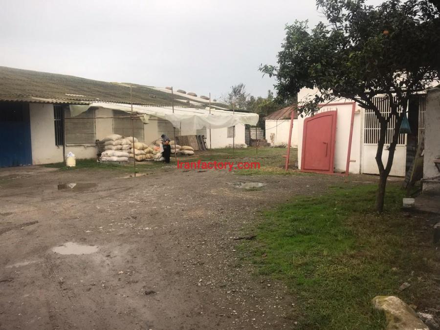 فروش کارخانه شالیکوبی شمال1