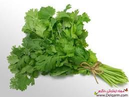 فروش خط کامل سبزی خرد کن0