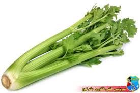 فروش خط کامل سبزی خرد کن3