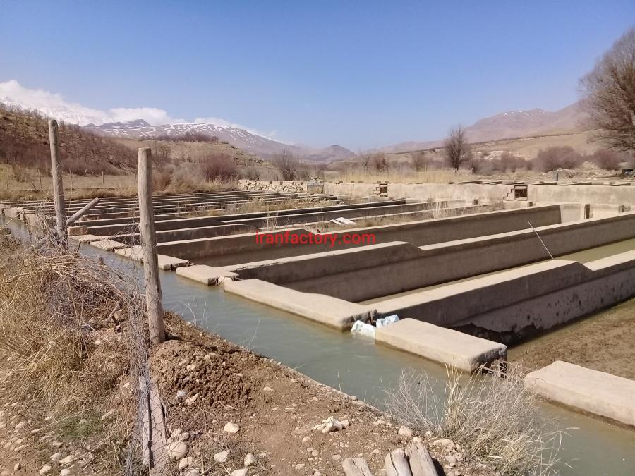 فروش پرورش ماهی در سمیرم0