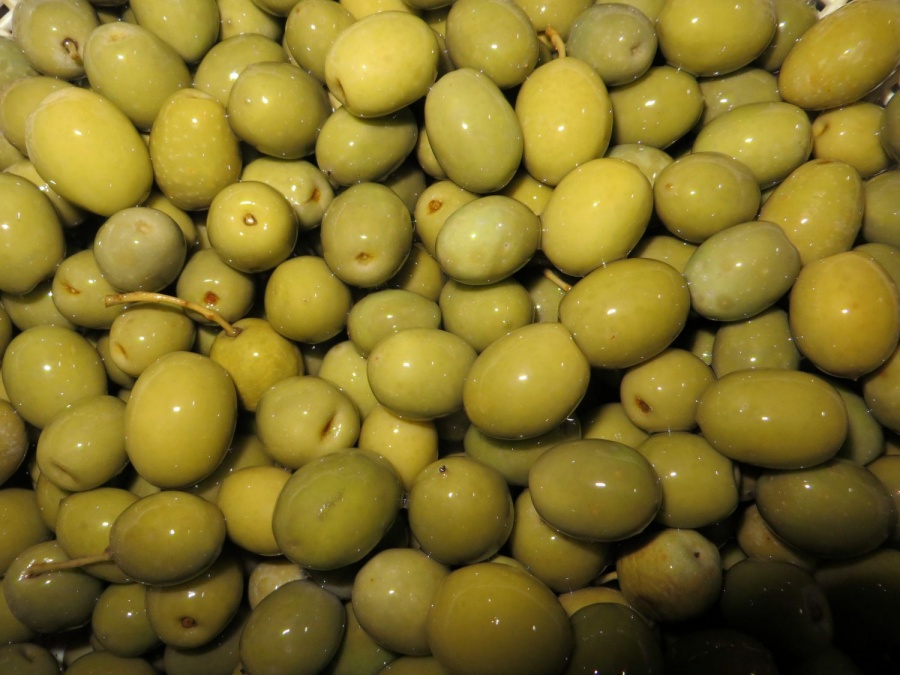 فروش عمده زیتون رودبار0