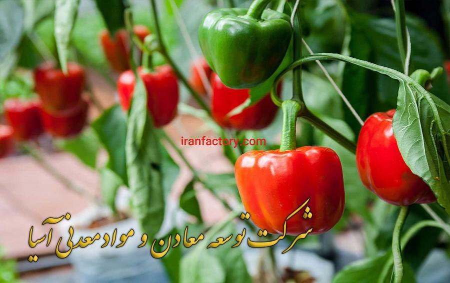 شرکت توسعه معادن و مواد معدنی آسیا0