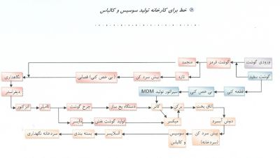 فروش خط تولید سوسیس و همبرگر1
