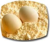 فروش خط تولید پودر و مایع تخم مرغ4