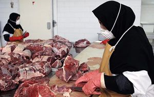 فروش خط بسته بندی انواع گوشت  (گوشت گوسفند، گوشت گاوی، گوشت مرغ)1