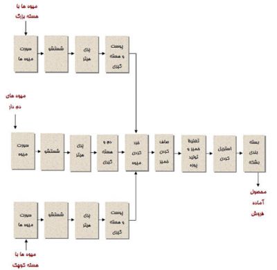فروش خط تولید پودر میوه2