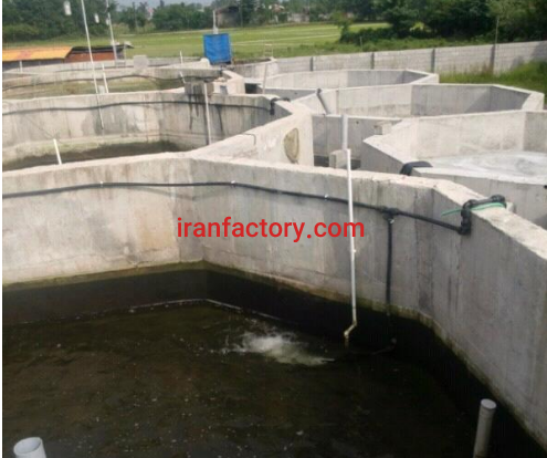 فروش 1508 متر مجموعه پرورش ماهی قزل آلا و خاویاری در رشت4