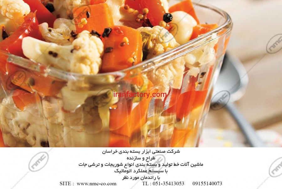 سازنده ماشین آلات خط تولید و بسته بندی ترشی و شوری جات1