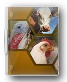 فروش خط تولید خوراک و کنسانتره دام، طیور و آبزیان2